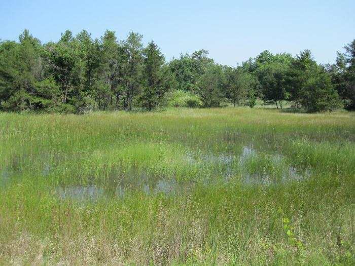 Frink's Pond Plant Preserve