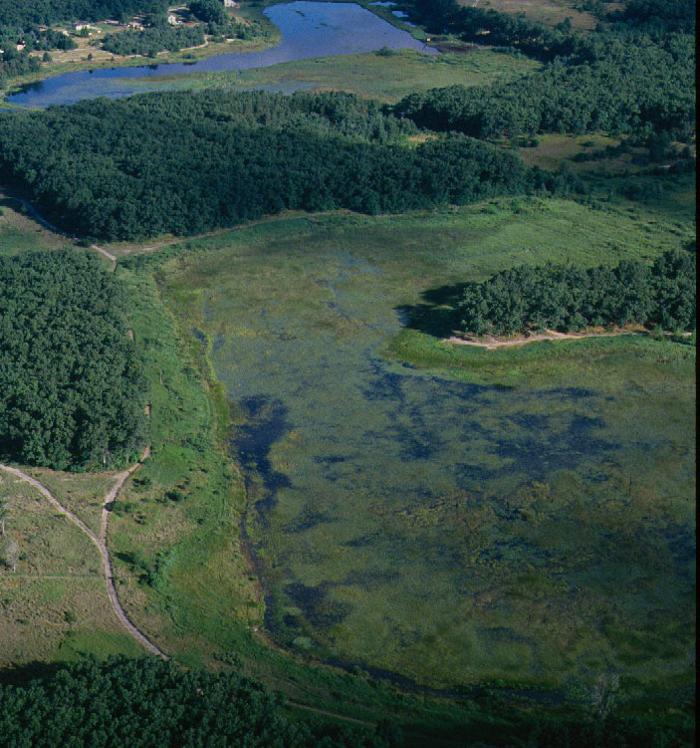 Five Lakes Muskegon Nature Sanctuary