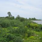 Gull Island Plant Preserve